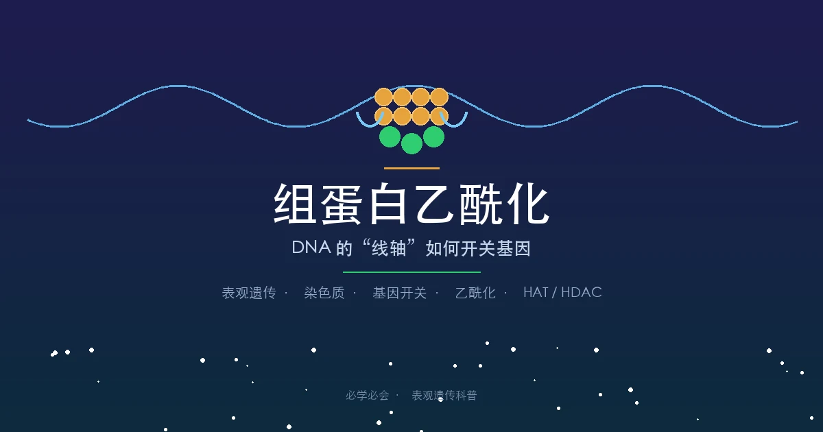 组蛋白乙酰化是怎么回事?为什么叫组蛋白